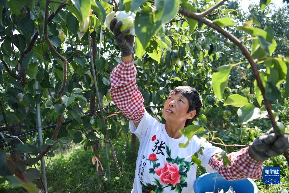 网页炸金花房卡